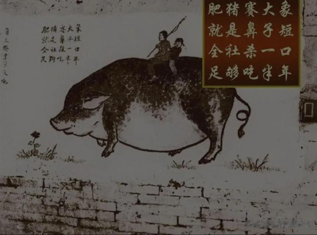 1958年钱学森在报纸上发表了亩产水稻万斤可能性，并且用一系列科学的推算出太阳光