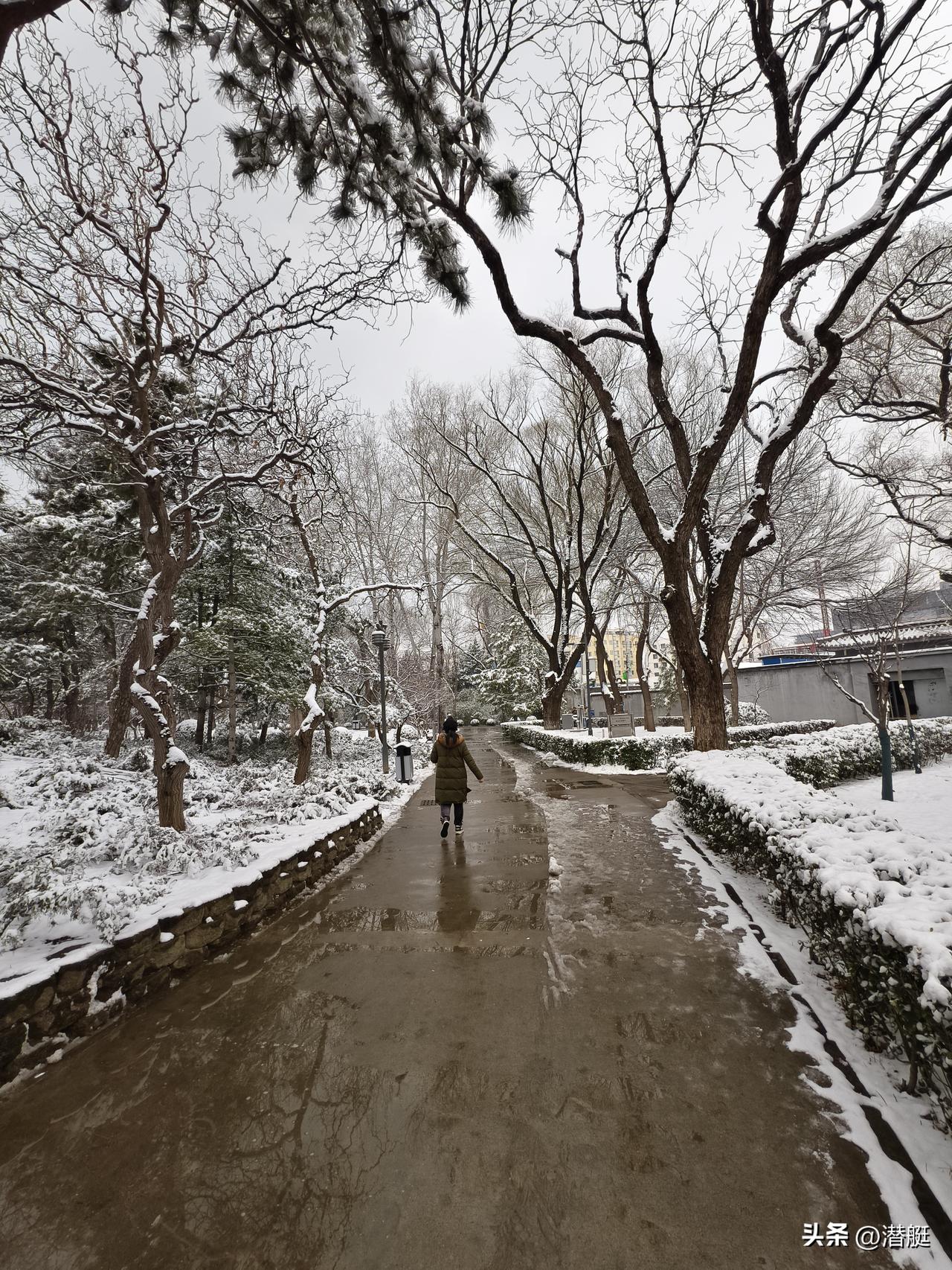 今日分享随手拍照片昌平中心公园是百姓生活运动锻炼身体的好去处！