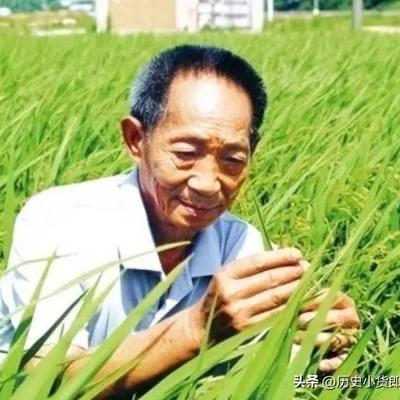 应该立即死刑,央视新闻在2024年4月14日曝光了一起惊天大案：我国杂交水稻之父