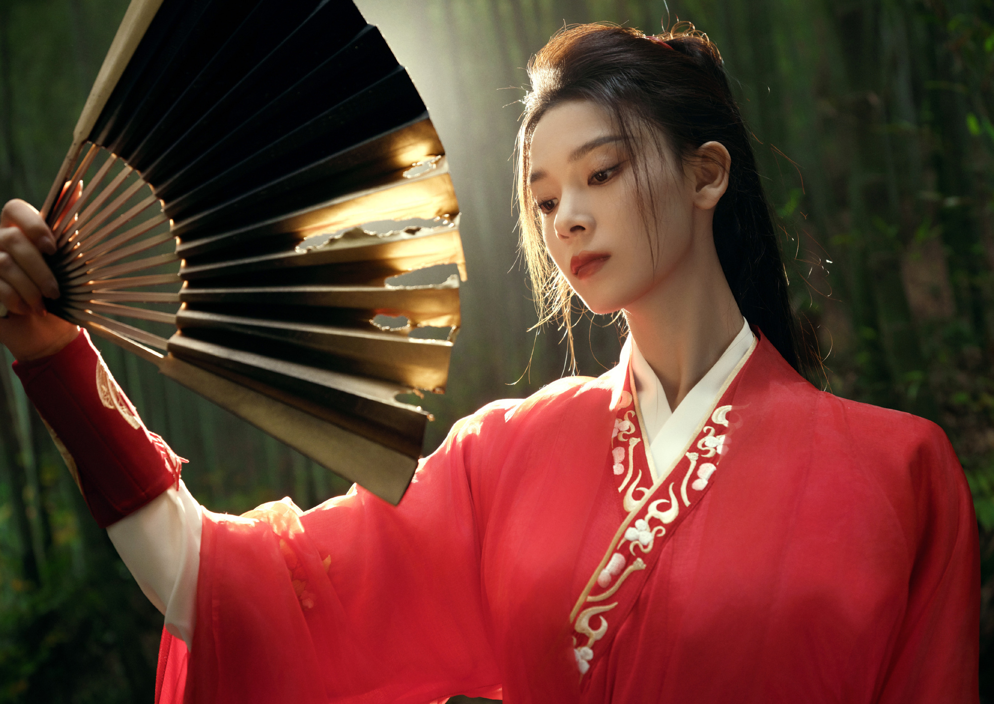 陈瑶 竹林红衣 