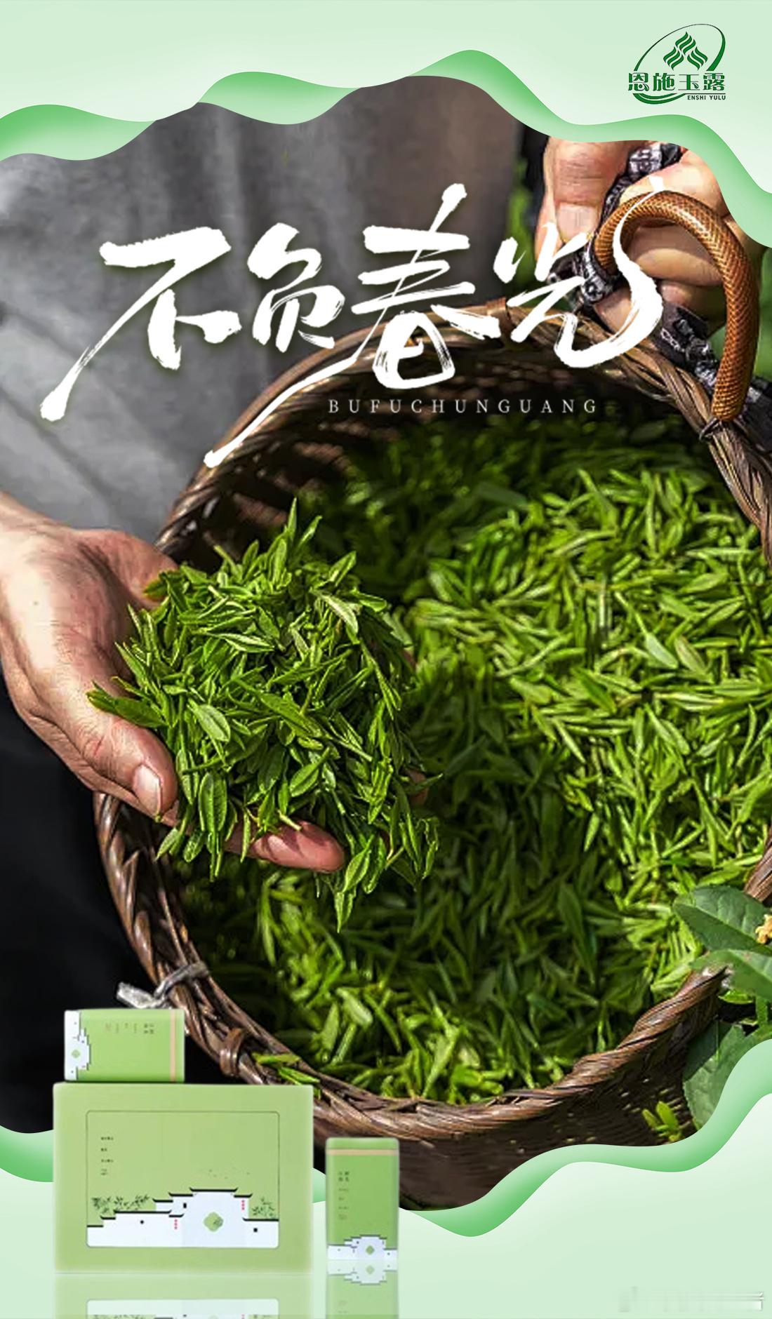不负春光，不负鲜。网页链接恩施玉露 头春新茶，带着大山里的晨露与春意而来。颗颗嫩