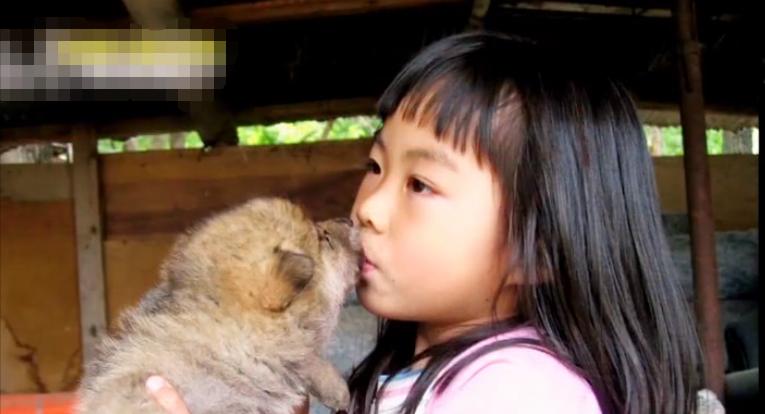 1987年，东北男子救下一头小狼，女儿将它当朋友养，几年后，小狼长大了，长得威武