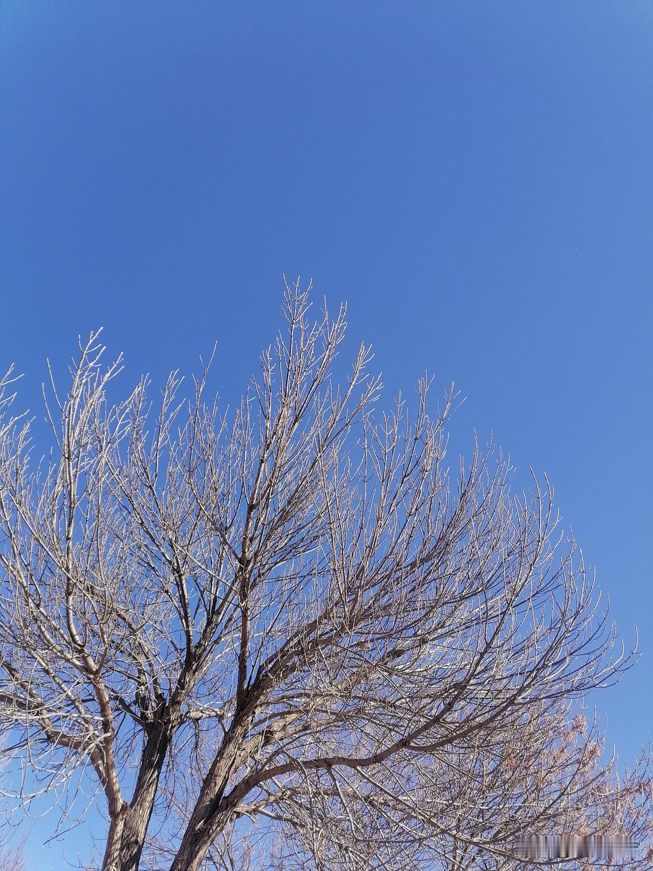 “受刑”结束，这是把爱你老己具象化了。

雪后的一场大风，把天空刮得像块蓝宝石，