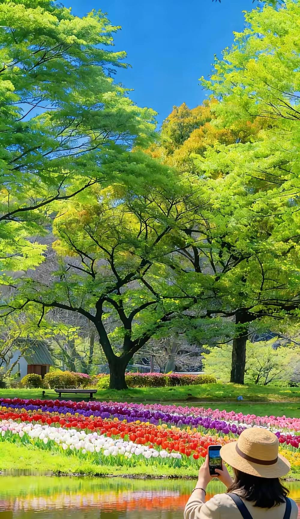 连续一个月每天发两条微头条，我这退休生活算是彻底变了样。以前日子过得空落落的，一