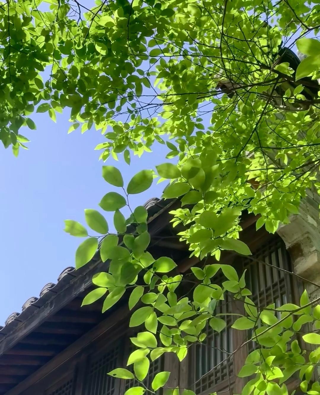 这放假也无聊，习惯了这个时间就醒啦。 