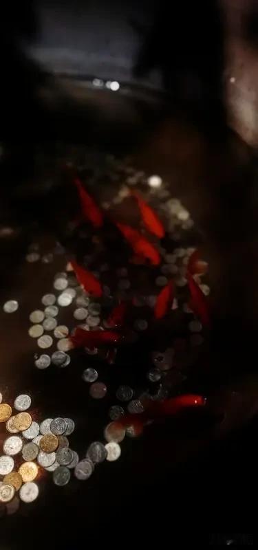 钱财解万般俗事，谋生才是难关
 
      世间繁杂琐事，但凡能用银两摆平的，