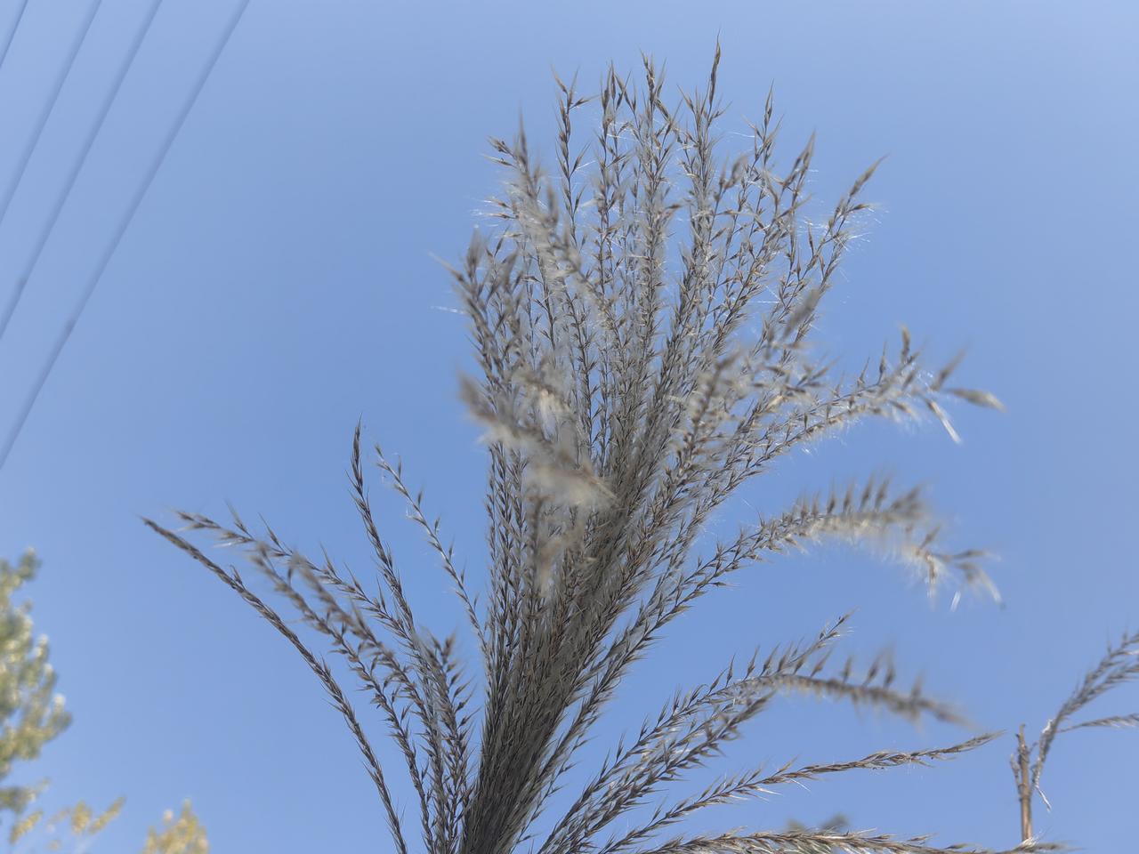 明朝朱元璋曾经立法贪污80贯就是死刑，按现在合到多少钱？一贯钱1000文铜钱，那