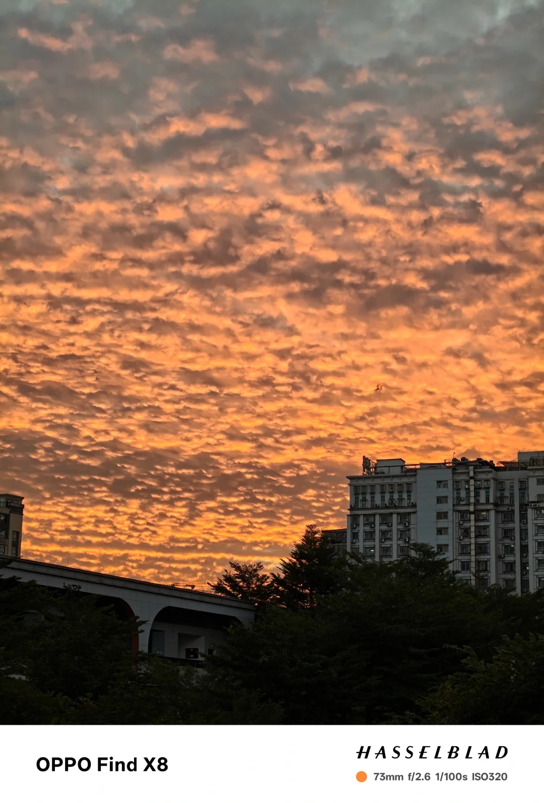 你的夕阳肯定没我的好看