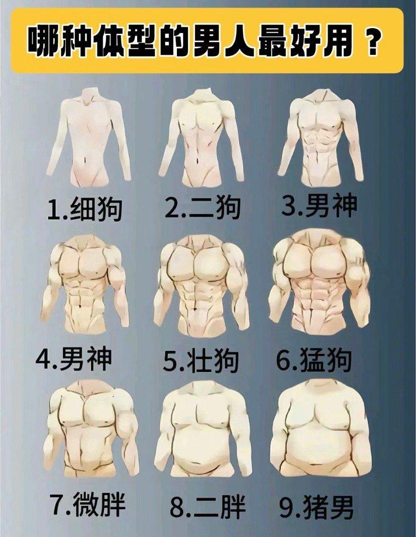 快来看看你老公是哪种体型！！！ ​​​