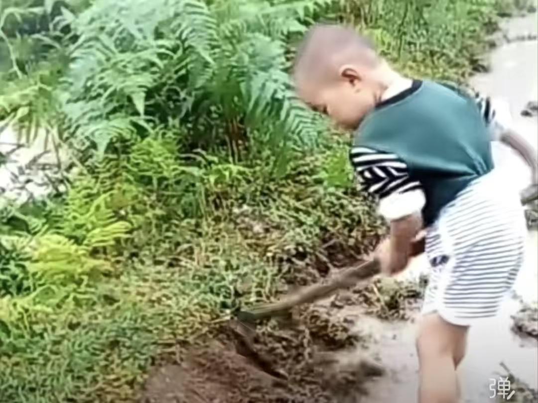 锄童
稚童小小未锄高，
竟也滴禾傍母劳。
莫笑今时犁寸地，
丈夫明日能降曹。