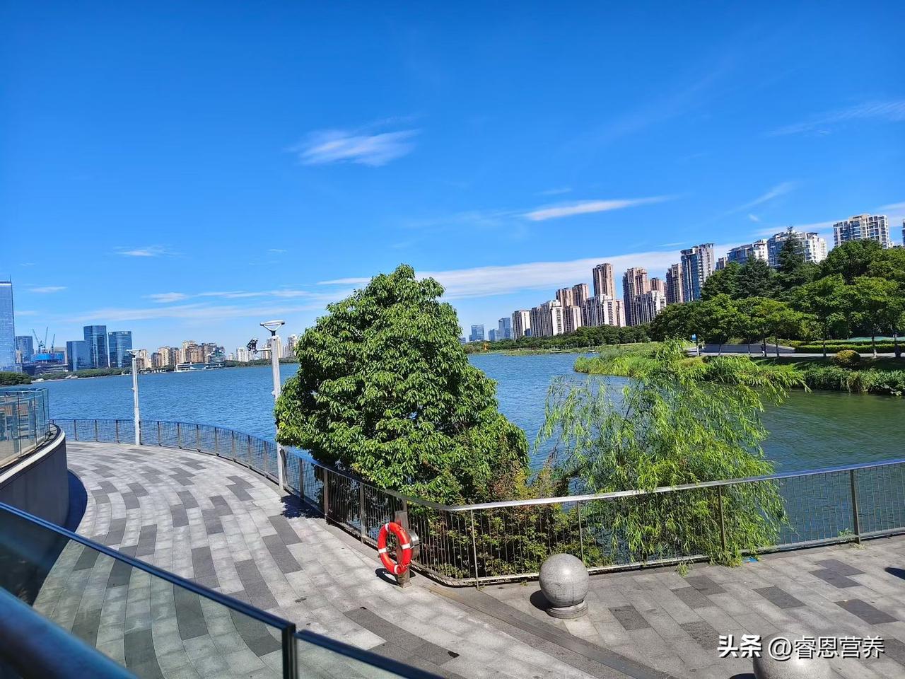 桥本甲状腺炎不用乱花钱，三步自查你的肠道漏不漏

查出桥本的人大多有同款糟心事：
