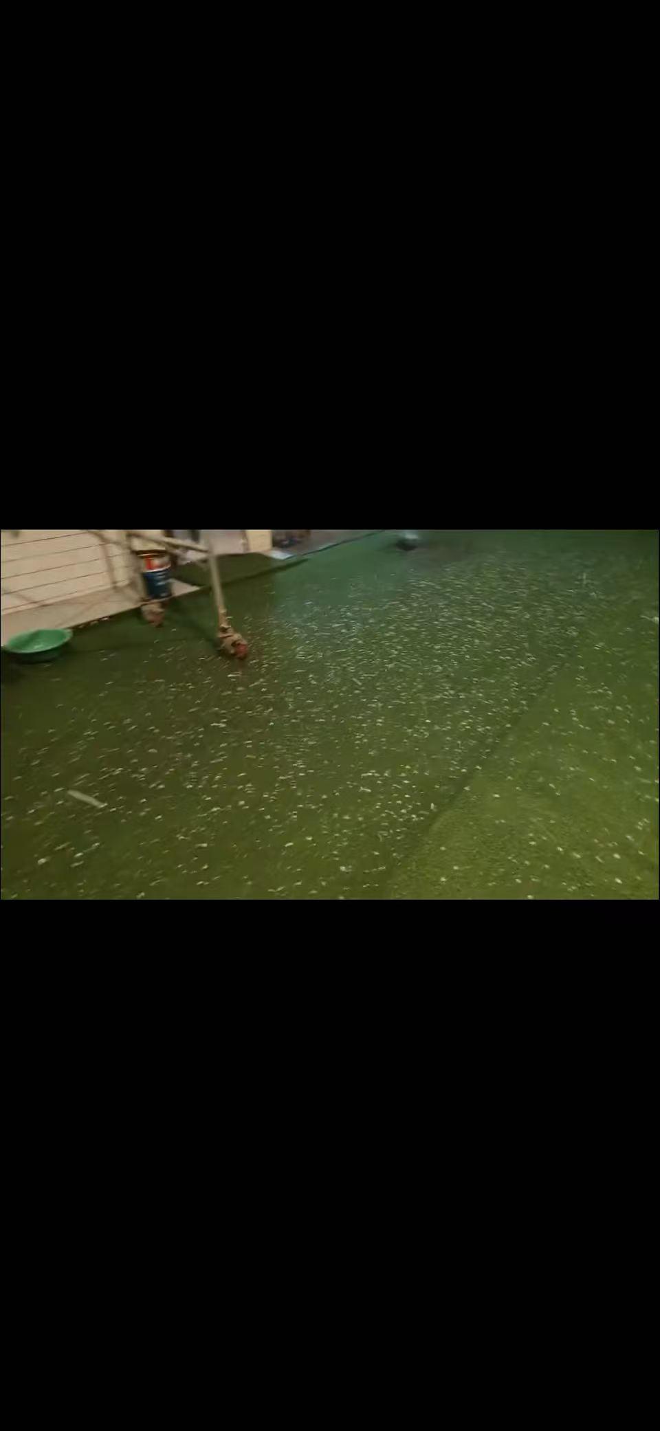今年的天气怎么了？
经常是晚上下雨，而且是暴雨，电闪雷鸣，狂风大作，一会还伴着冰