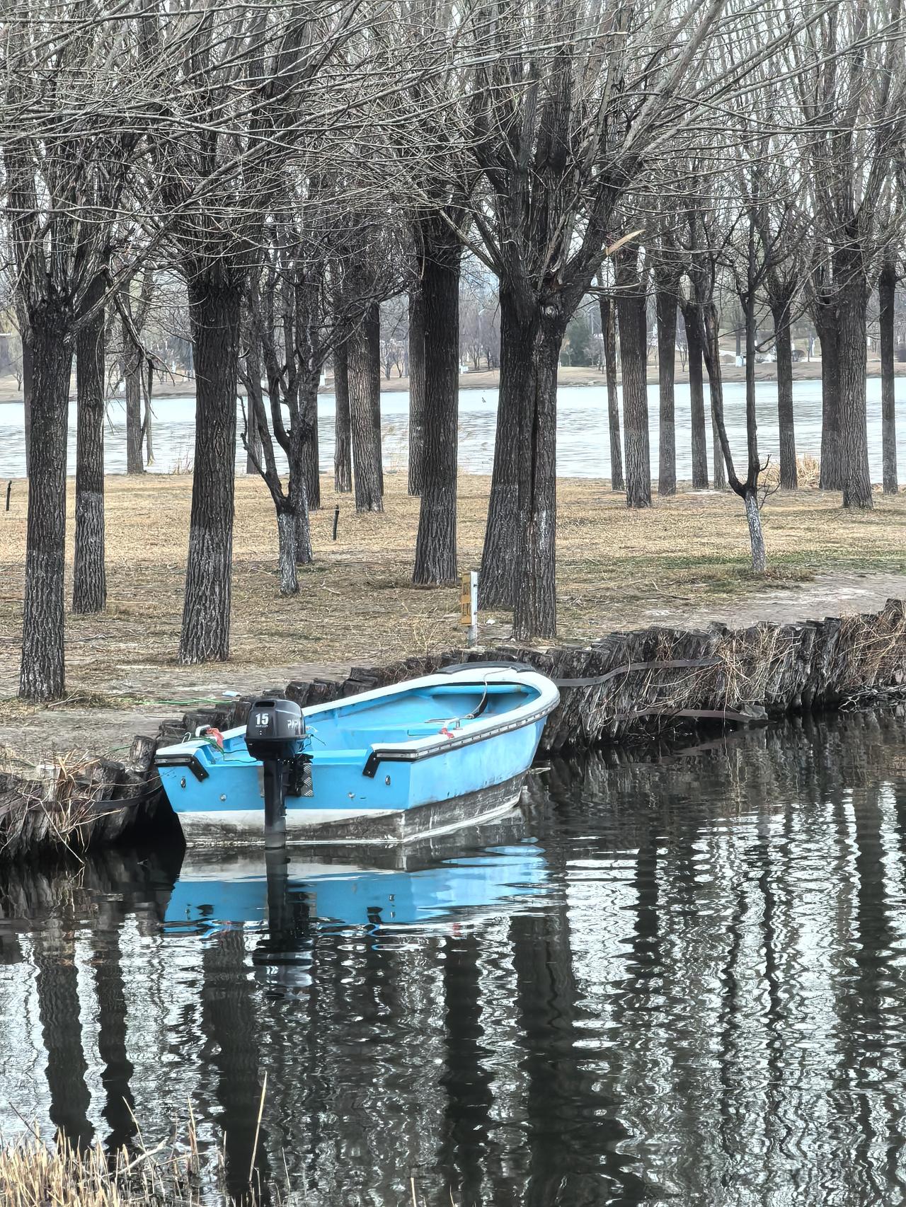 静谧湖畔，蓝船轻靠岸，树影婆娑，岁月静好。