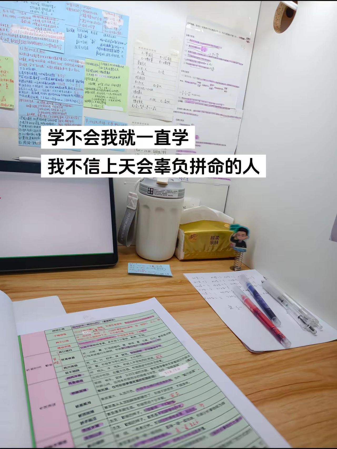 卷死自己。我不信自己脑子有病，我不信铁杵不能磨成针坚持学习 备考日记 @花生十三
