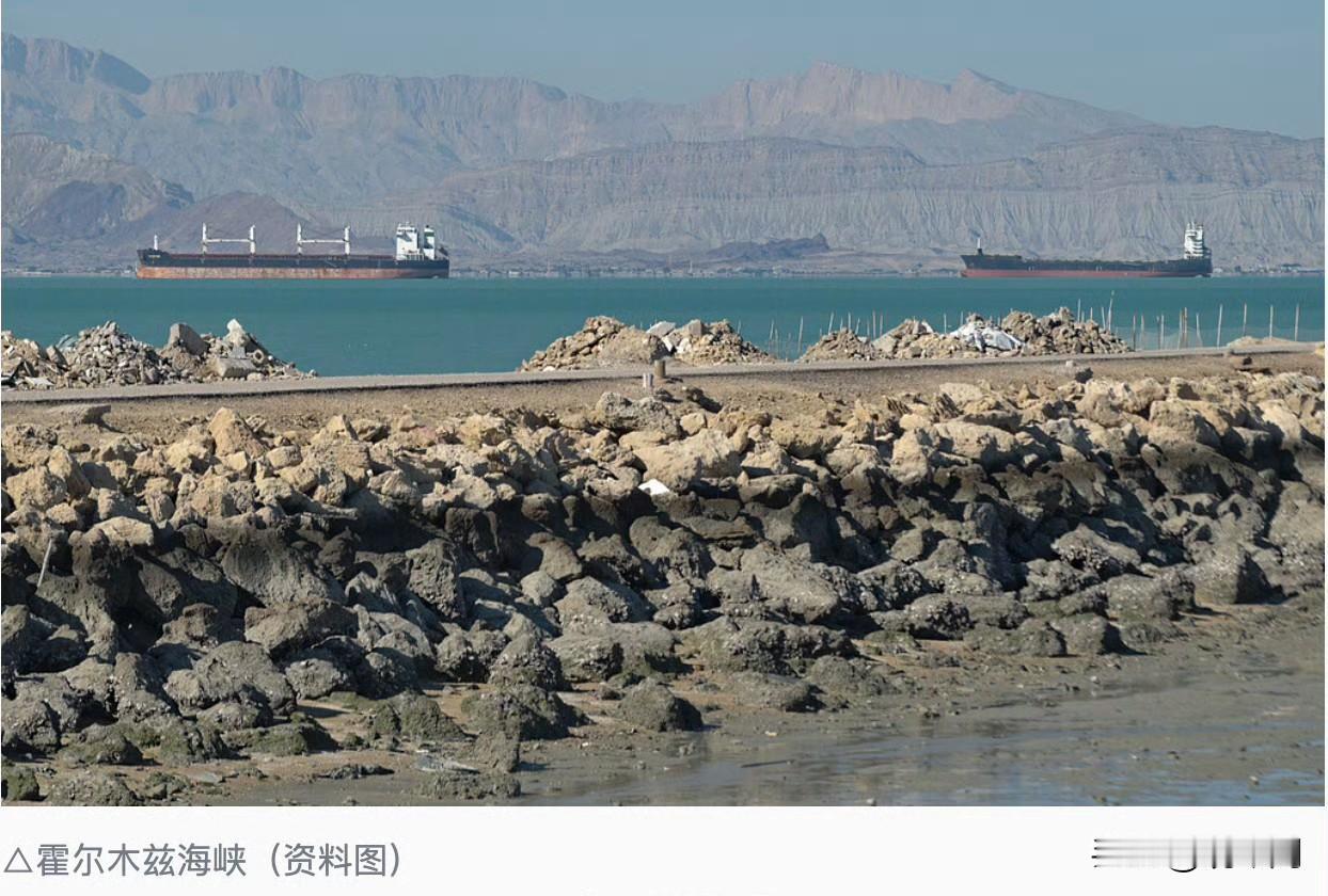 伊朗现在开始靠打仗挣钱了。想通过霍尔木兹海峡，每艘船交200万美元“过路费”。据