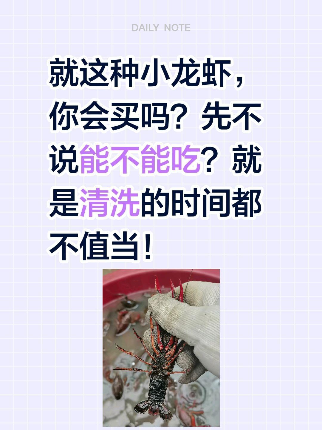 这种小龙虾真的有人愿意买吗？就这种小龙虾，你会买吗？先不说能不能吃？就是清洗的时