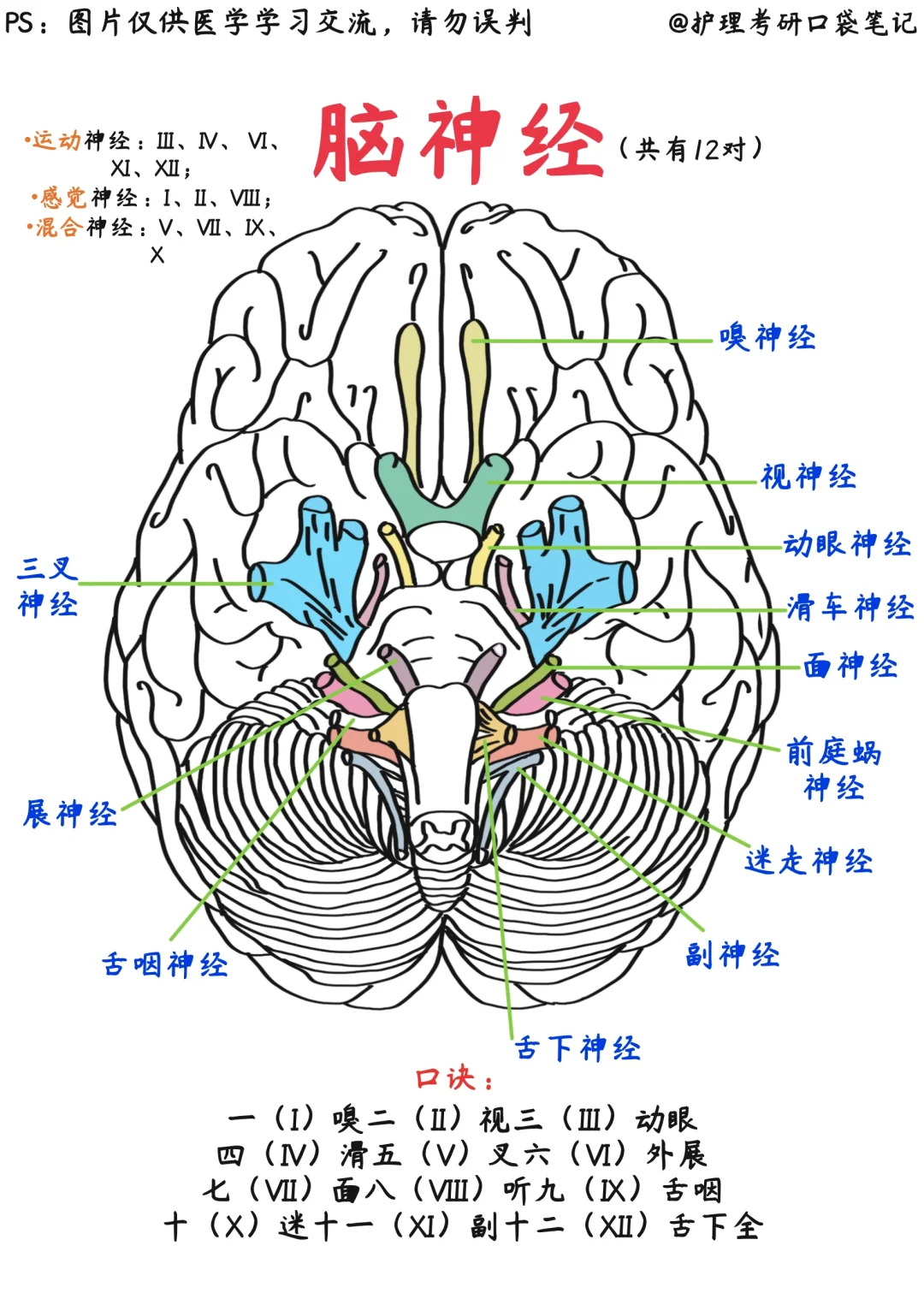 📒医学生笔记｜吞咽困难自救指南‼️预防误吸