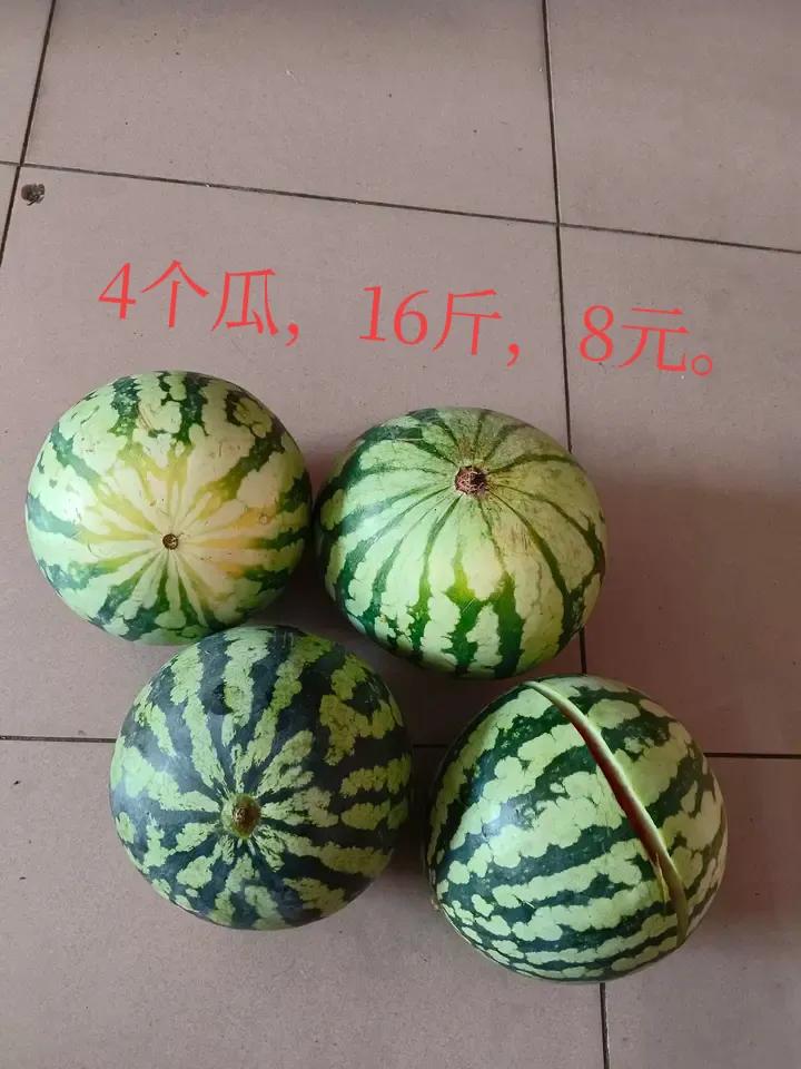 4个西瓜8块钱，一共16斤，平均一个西瓜2元，每斤5毛钱。比矿泉水便宜，比绿茶饮