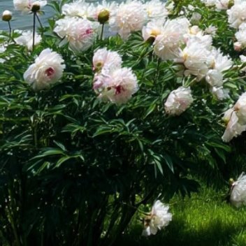 每日一善  每日一善   阳光信用 斗志和干劲很重要，但更重要的，是不断坚持的努