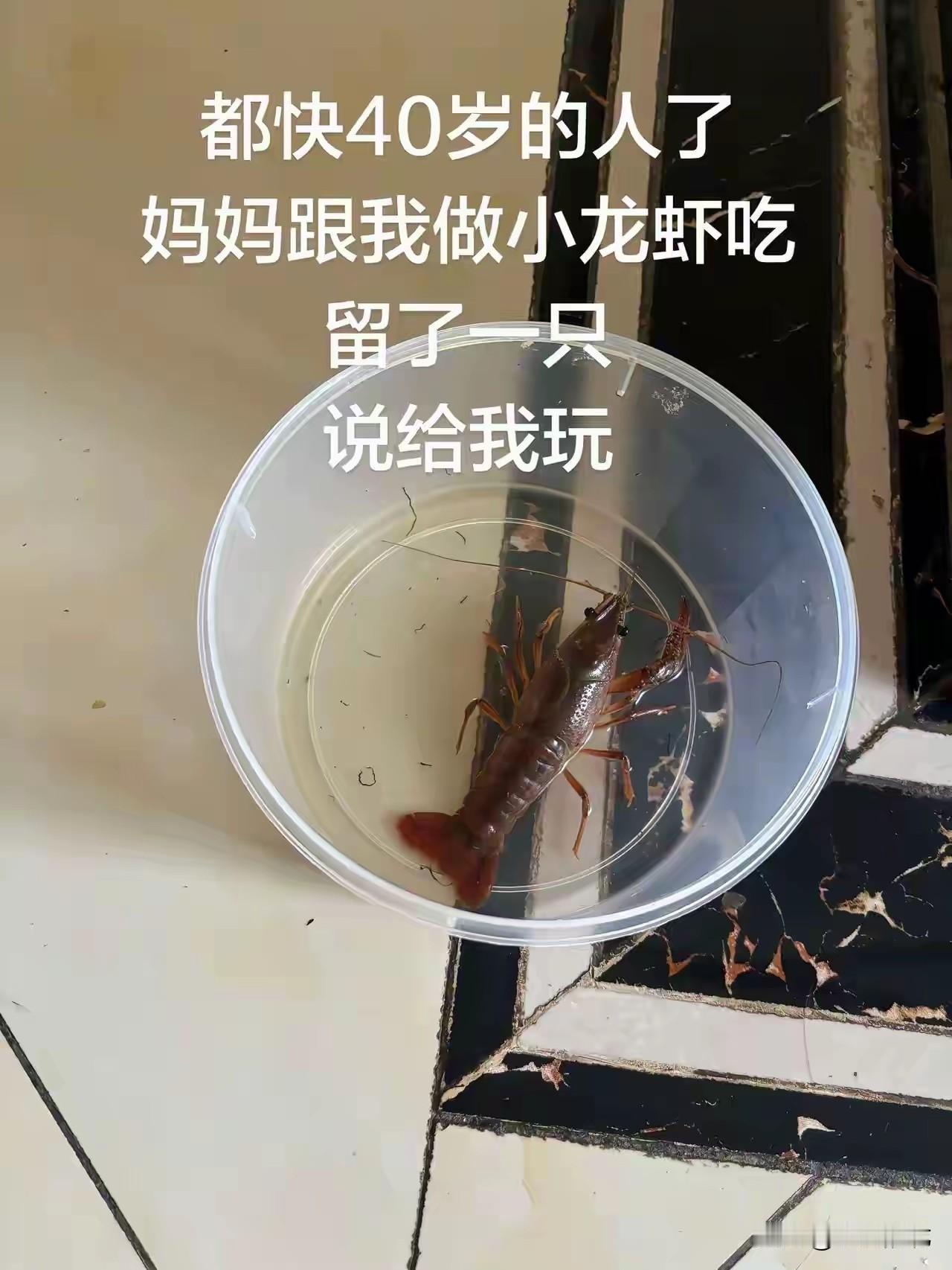 中秋回老家，睹物思情，发现自己随着年龄的增长，越发怀念小时候的点点滴滴。想想那时