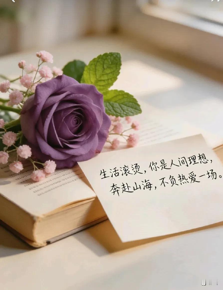 幸福的9个标准，你认同吗？

人们常问幸福的模样，或许它就藏在这些具体而安妥的轮