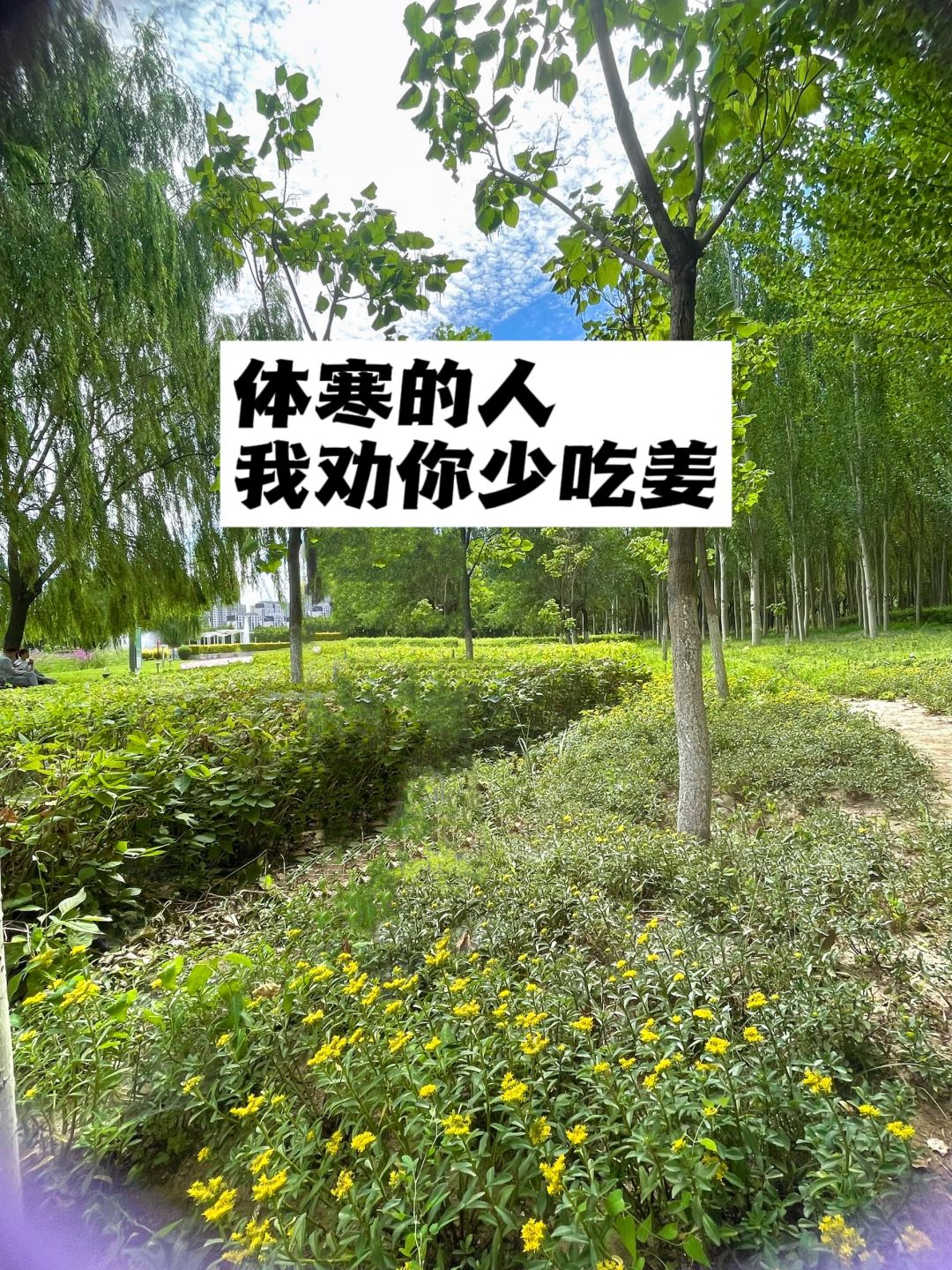 体寒的人，我劝你少吃姜.