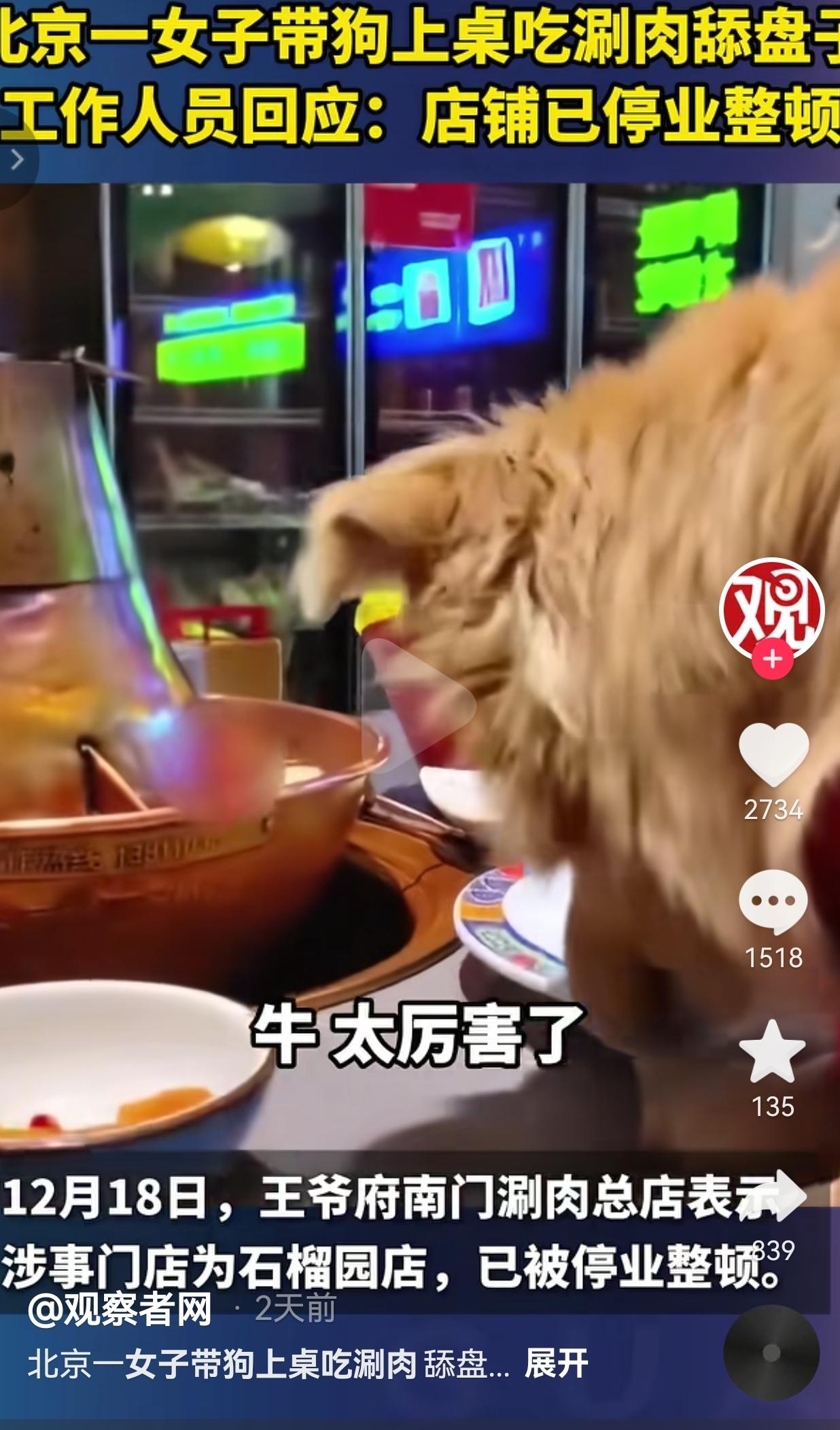 离大谱了！真的是一点素质和社会公德心都没有。北京一女子带狗涮肉店上桌舔盘，不仅让