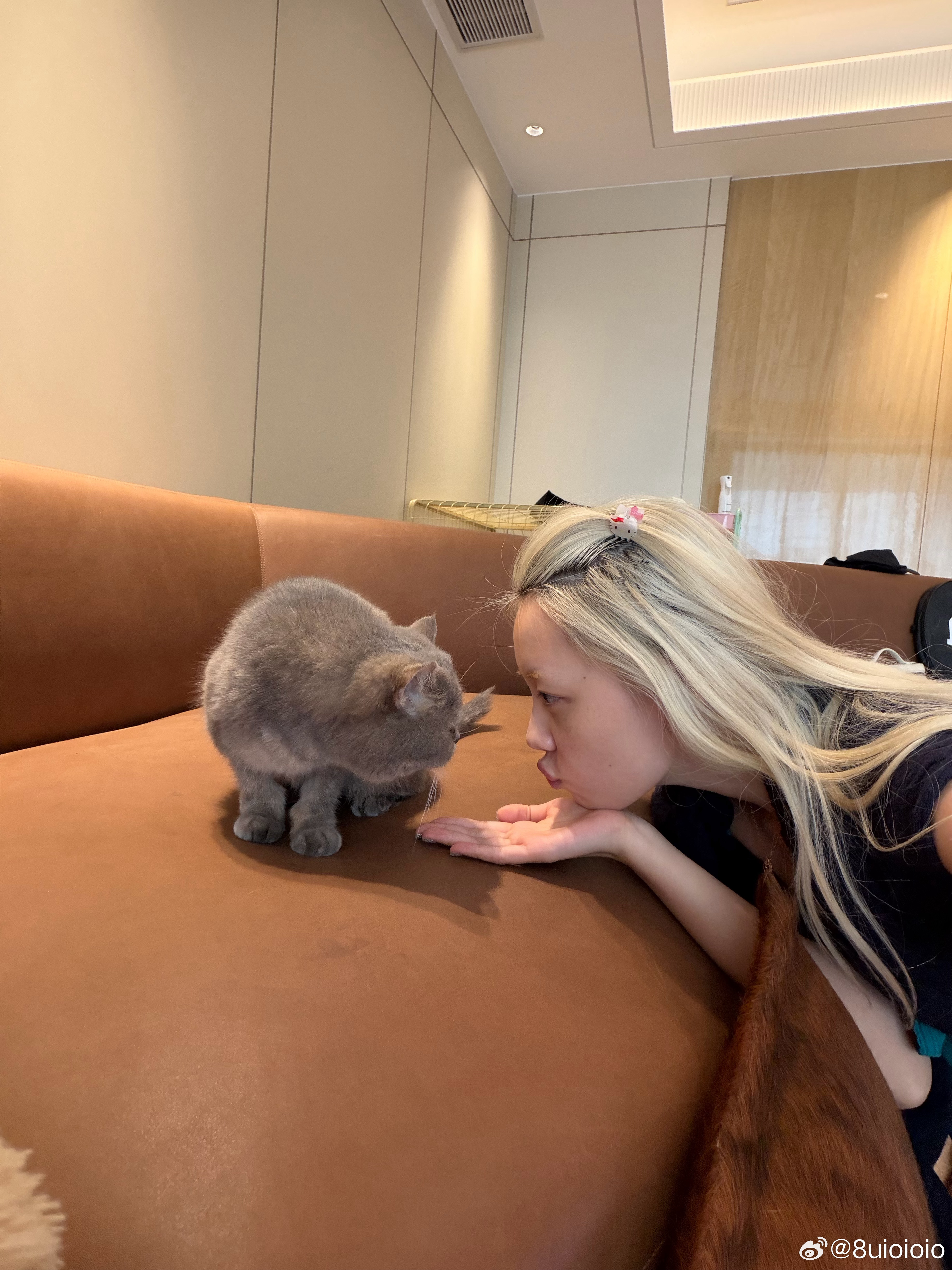 在白家聊了一下午天  玩了一下午猫 你们清明回家不！ 