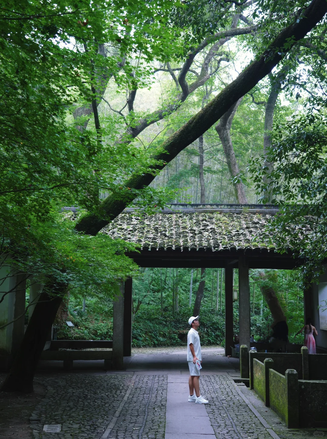 夏天来杭州‼西湖边蕞适合游玩的3️⃣条路线