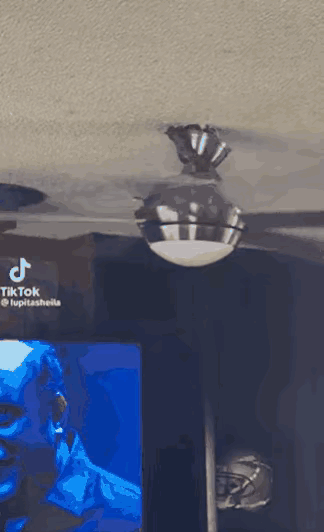 该怎么办？它脑瓜子嗡嗡的，房主的脑瓜子也一样嗡嗡的吧？