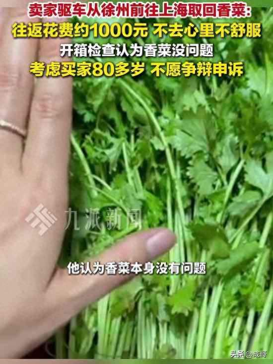 8.59元香菜引发千里奔赴！千元成本争的到底是什么？