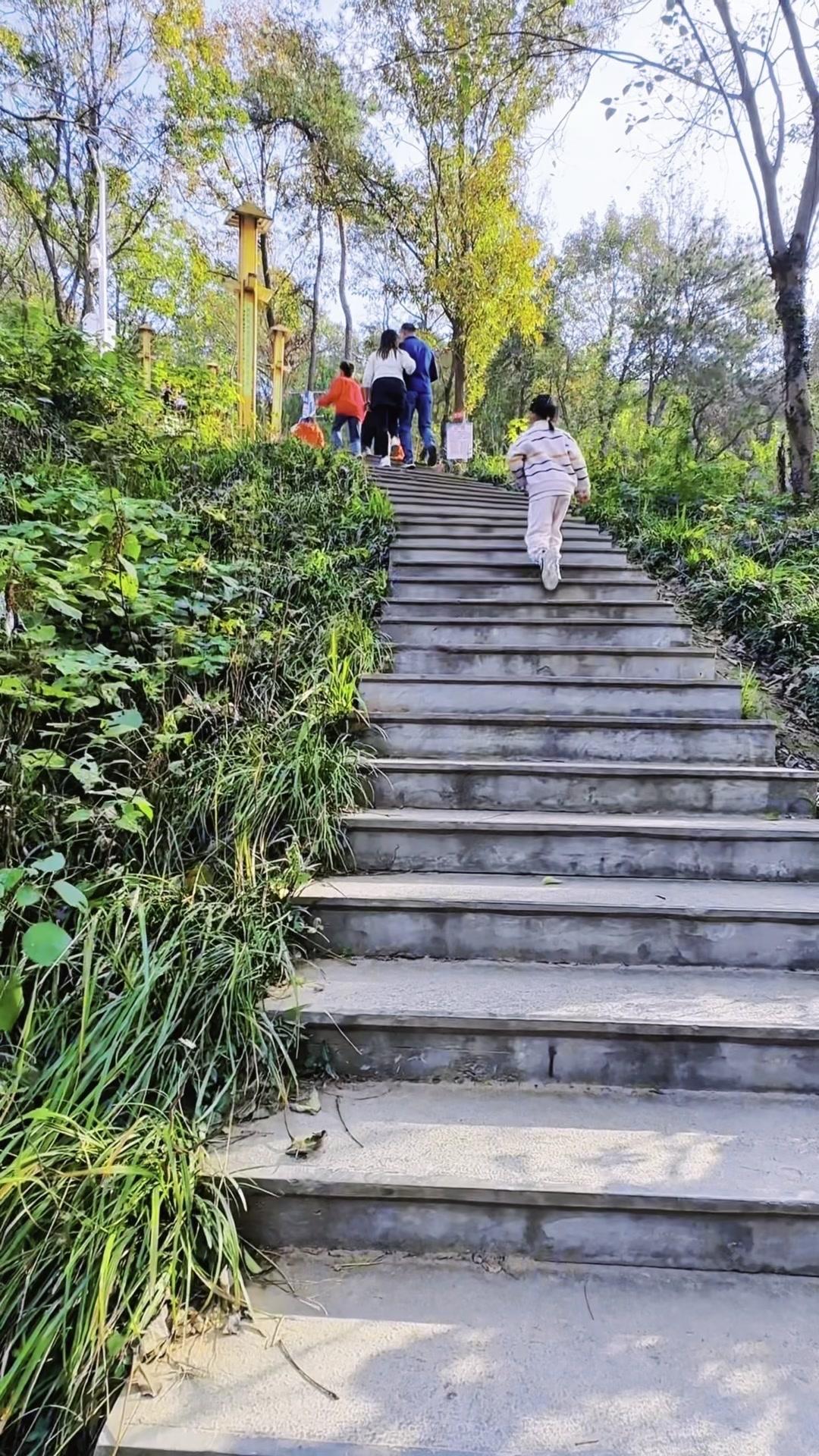 📍平山塔俯瞰信阳城有多绝？🌿站在震雷山平山塔前，信阳城全貌和浉河美景全收眼底
