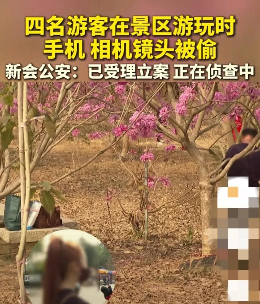 江门市绿美生态园贵重物品被盗事件深度解析

近日，江门市绿美生态园景区内发生的游