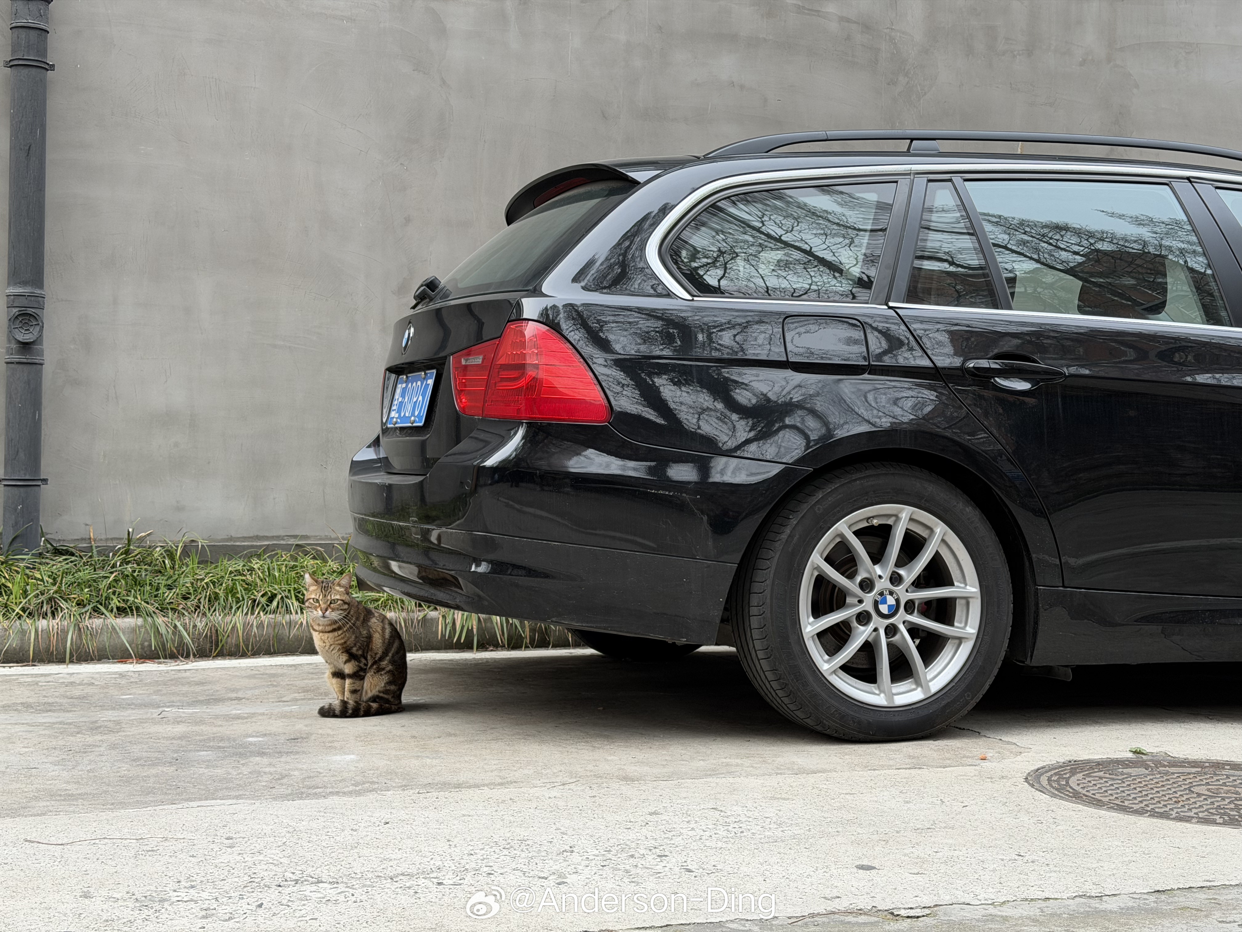 感谢 318也有了跟可爱猫猫的合影