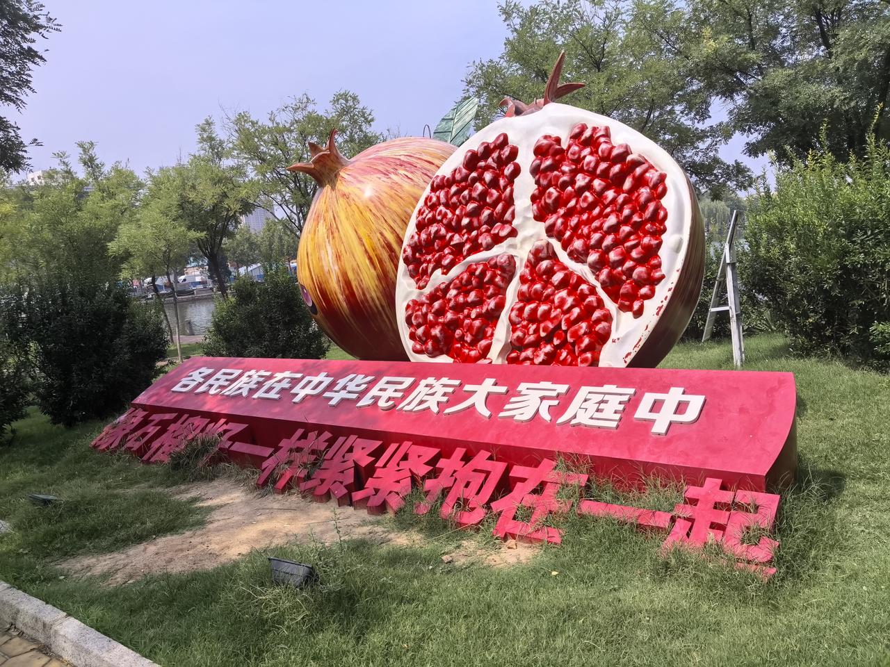 火红的大石榴！好诱人！好醒目！小城德州的都知道这是哪里吗？“各民族在中华民族大家