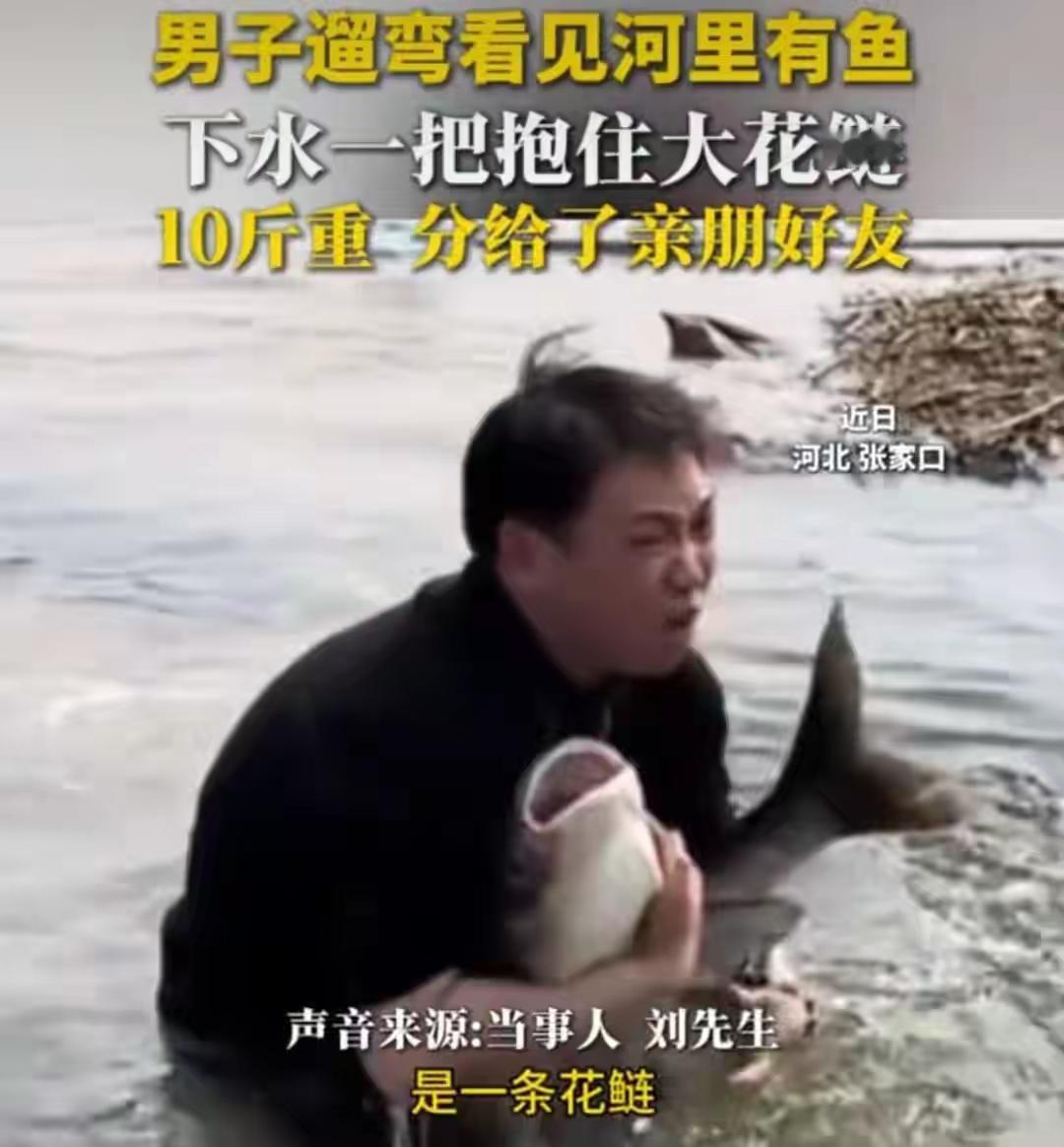 黑龙江男子河边遛弯竟徒手捕获10斤大花鲢！网友炸锅：这运气是充值了吧？背后真相引