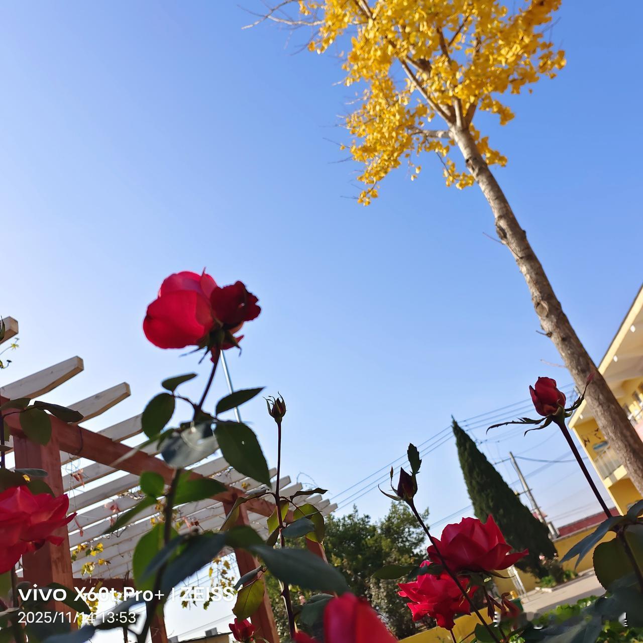 刚刚看了作家素老三的头条，她说自己因让儿子把写头条当成一份工作来做，和儿子吵了一