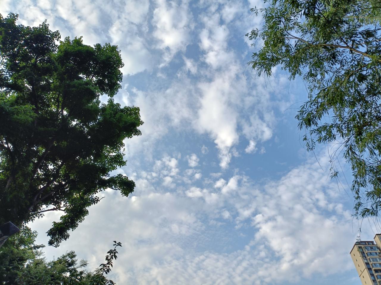 办案太累了，仰望天空也是解压的方式方法，不信你试试。
人的心灵越接近大自然，身心