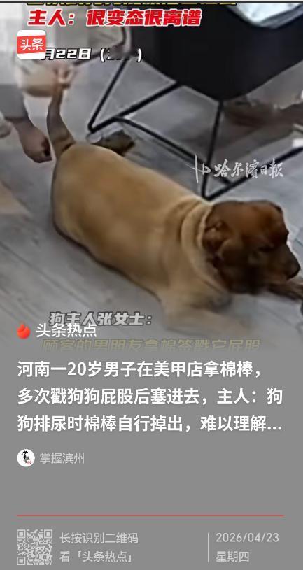 这年头真是林子大了什么鸟都有！河南南阳一20岁小伙陪女友做美甲，趁店主不备拿起棉