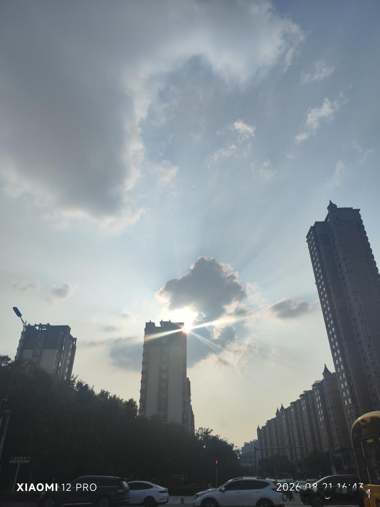 晒图笔记大赛这才是沈阳秋天最好看的景色，有蓝天，有白云。
