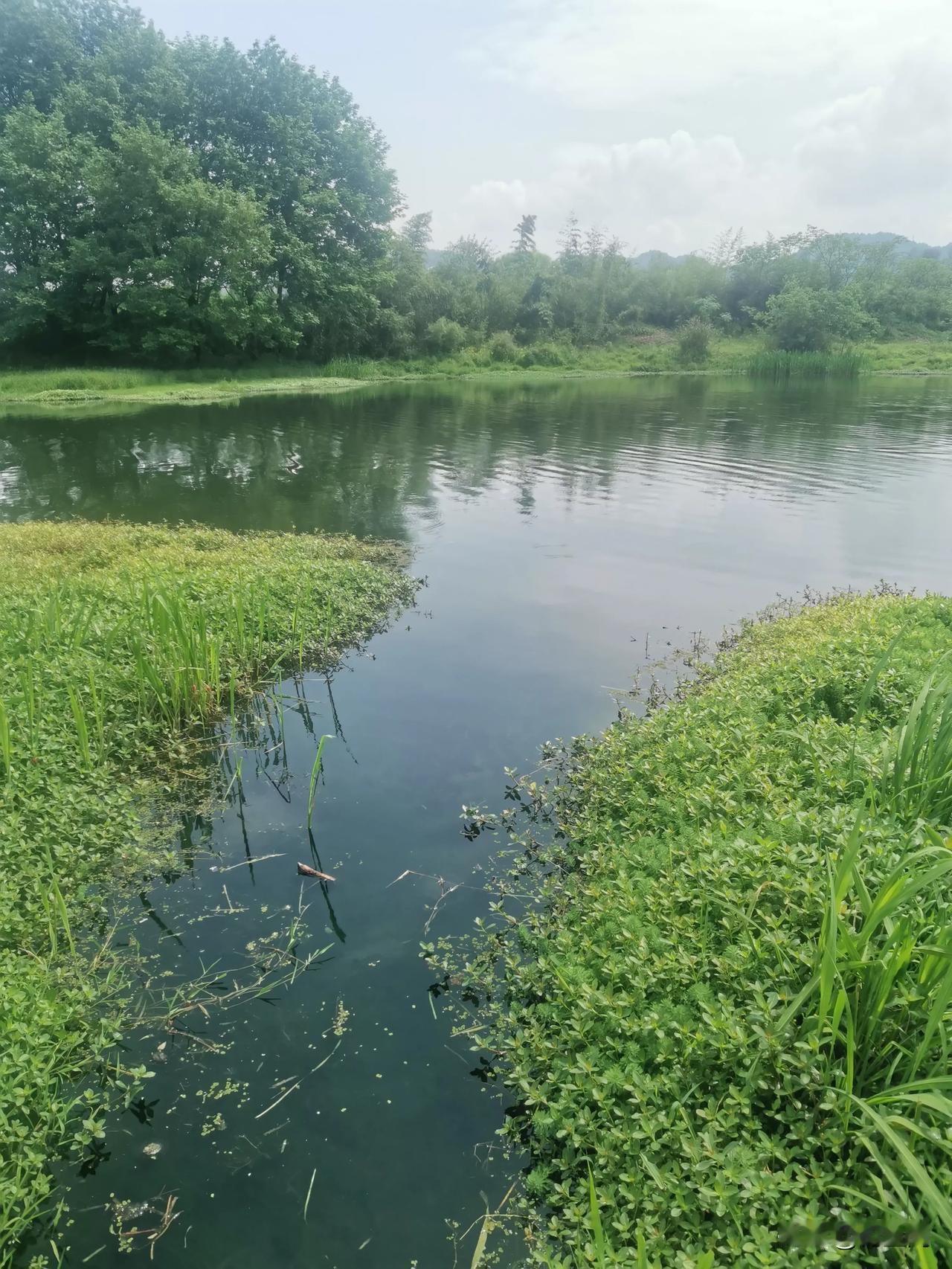 天天破解这药酒，那小药，要是那么容易破解，鱼饵厂都倒闭了[尬笑][尬笑][尬笑]