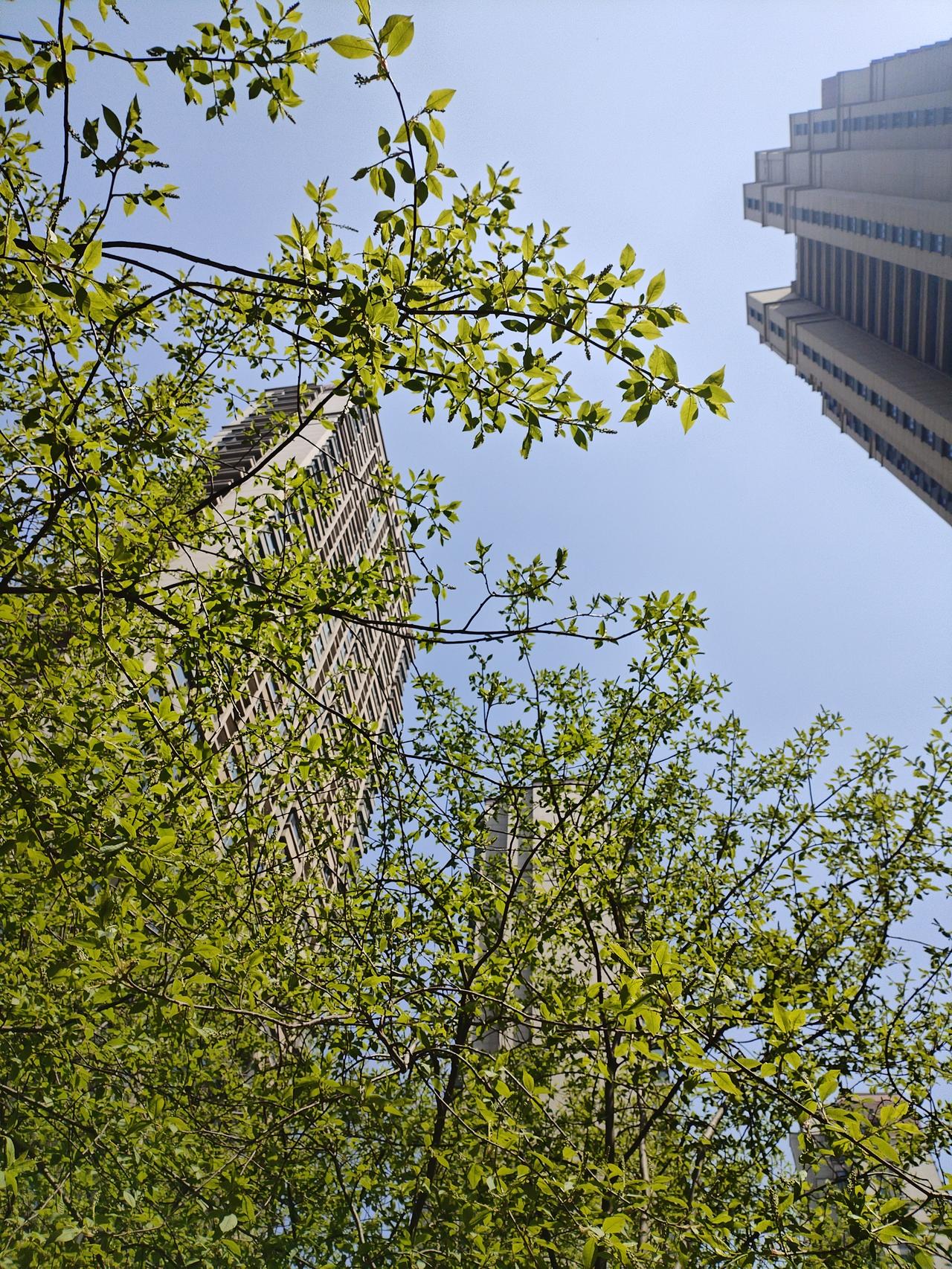老了，不是退场
而是换种活法
不再为谁的面子买单
不再为无谓的纷争伤神
晨起侍弄