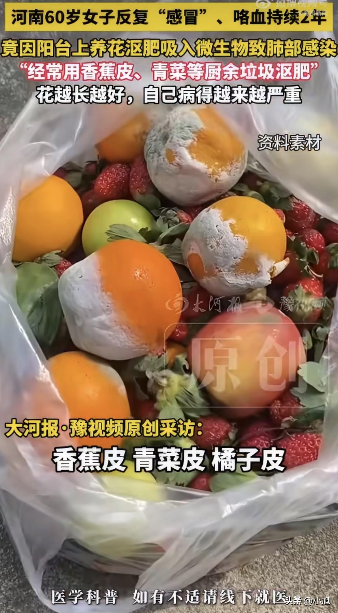 咯血两年，病因是一袋烂香蕉皮。

河南郑州60岁的张阿姨，退休后爱养花。用香蕉皮