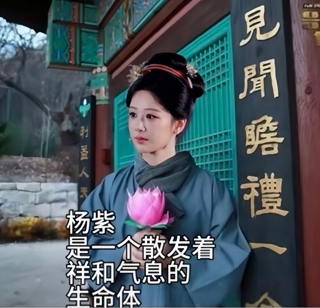 不要信青簪行海外版，这是看高考结束了，想片一波萌萌米收割。我真是醉了。杨紫粉丝那