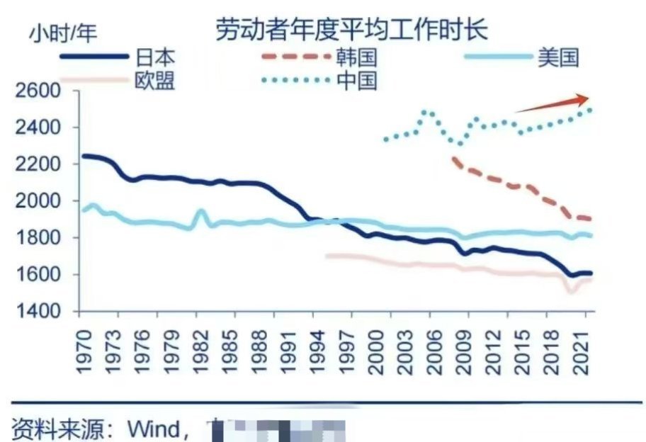 韩国机器人普及了吗？[费解][费解][费解] ​​​