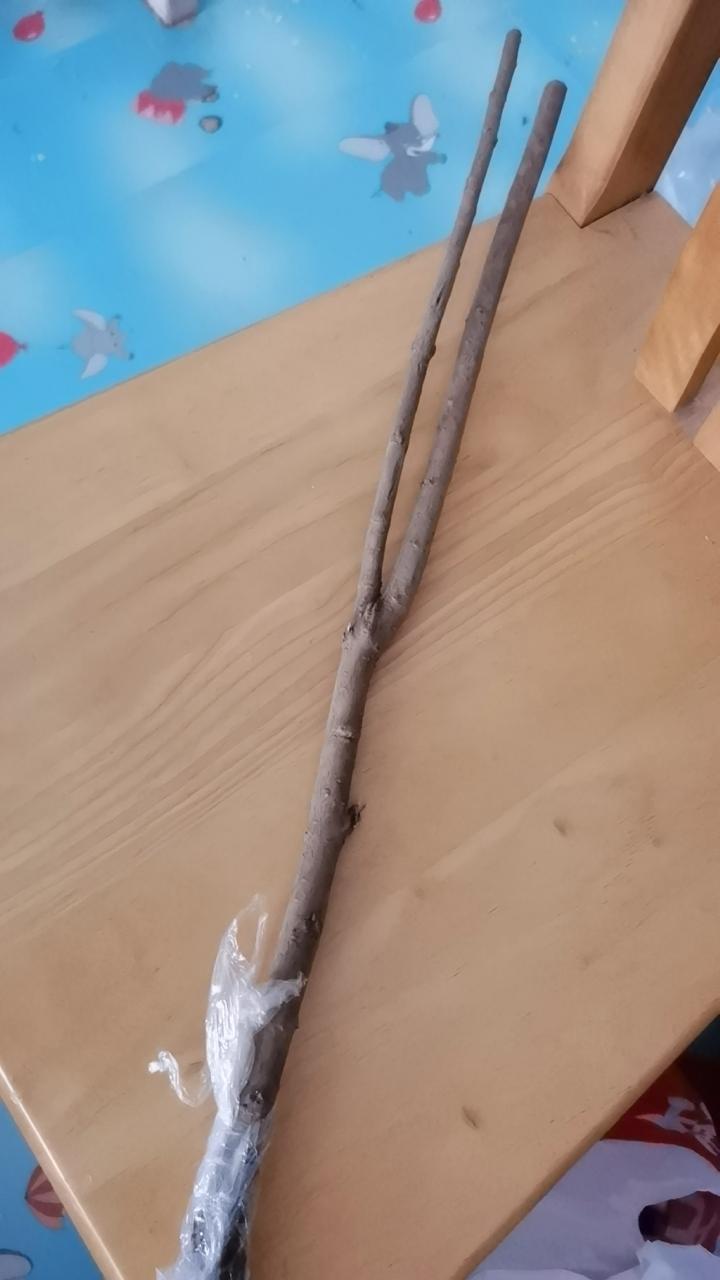 大家看看在抖音商城买的榆树苗咋被骗的
广告的是好榆树苗，山东产的，2公分粗，付的