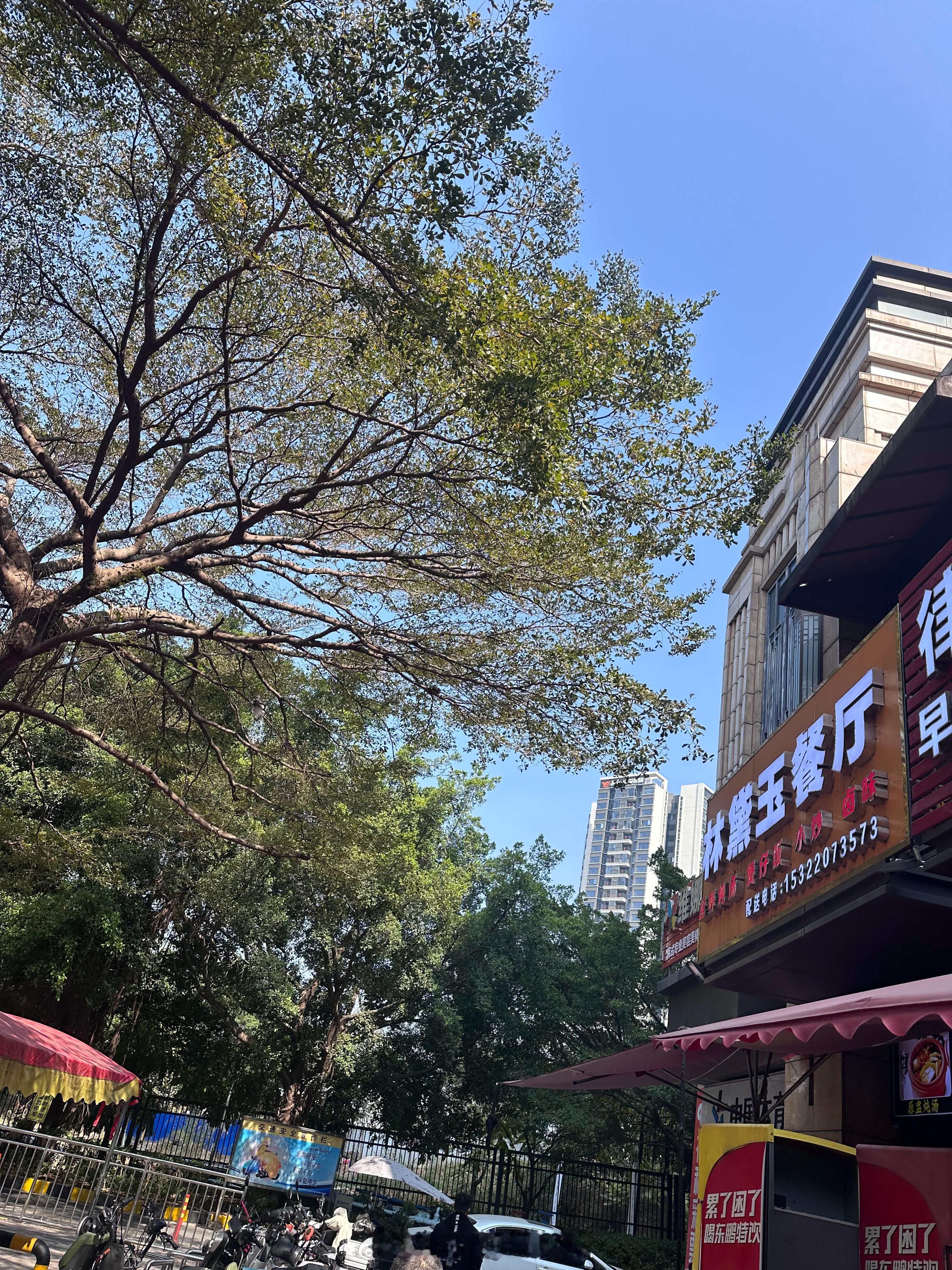 走进这餐厅，出来的是一位50多岁的阿姨，这饭还吃不吃？ 