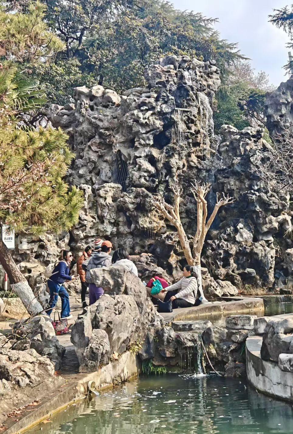 几块湖石堆叠成壁，一汪清水缓缓流淌，阳光穿过枝叶落在石阶上。老姐妹儿们凑在一块儿