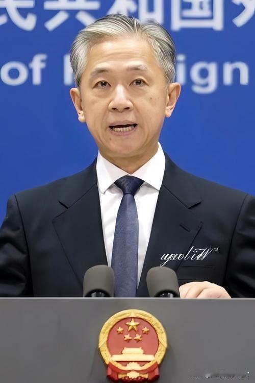 汪文斌在人民日报发表称，中柬联合打击电信网络诈骗犯罪取得了阶段性成果，柬方已经向