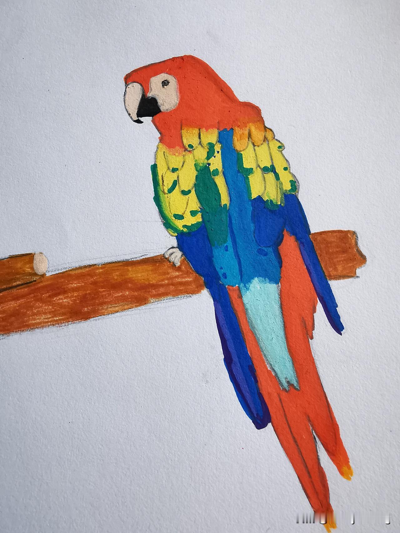 今年最舍不得删的照片